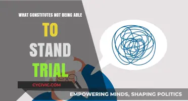 Standards for Incompetence: What Makes One Unfit for Trial?