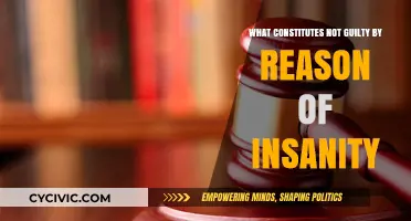 Understanding Insanity: What Makes a Person Not Guilty?