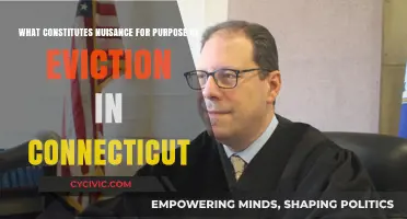 Understanding Nuisance Eviction in Connecticut