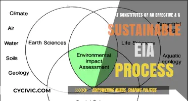 Effective EIAs: Sustainable, Comprehensive, and Long-term