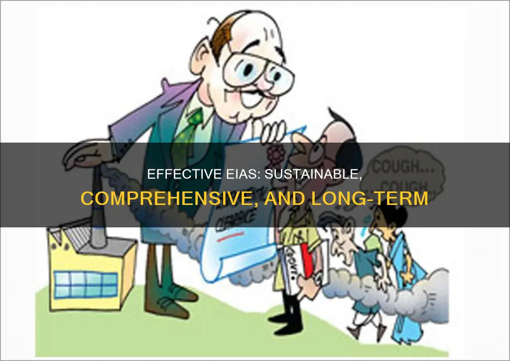 what constitutes of an effective & a sustainable eia process