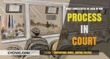 Due Process Denied: Rights, Courts, and Justice