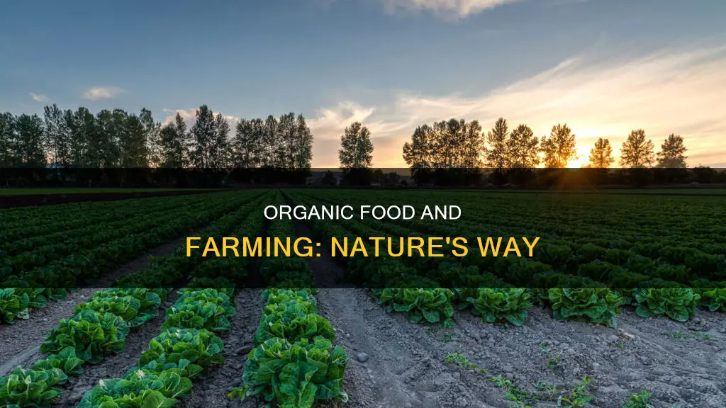 what constitutes organic food and organic farming practices