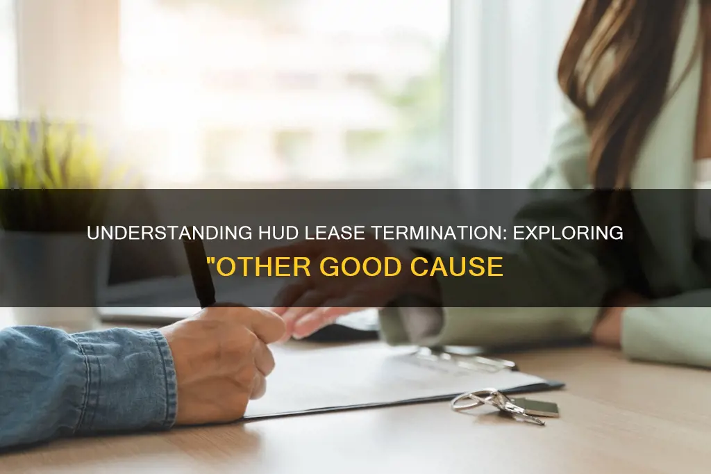 what constitutes other good cause for hud lease termination