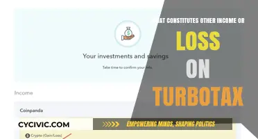 Understanding TurboTax's "Other Income and Loss" Section
