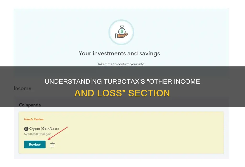 what constitutes other income or loss on turbotax