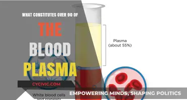 Water and Proteins: The Main Components of Blood Plasma