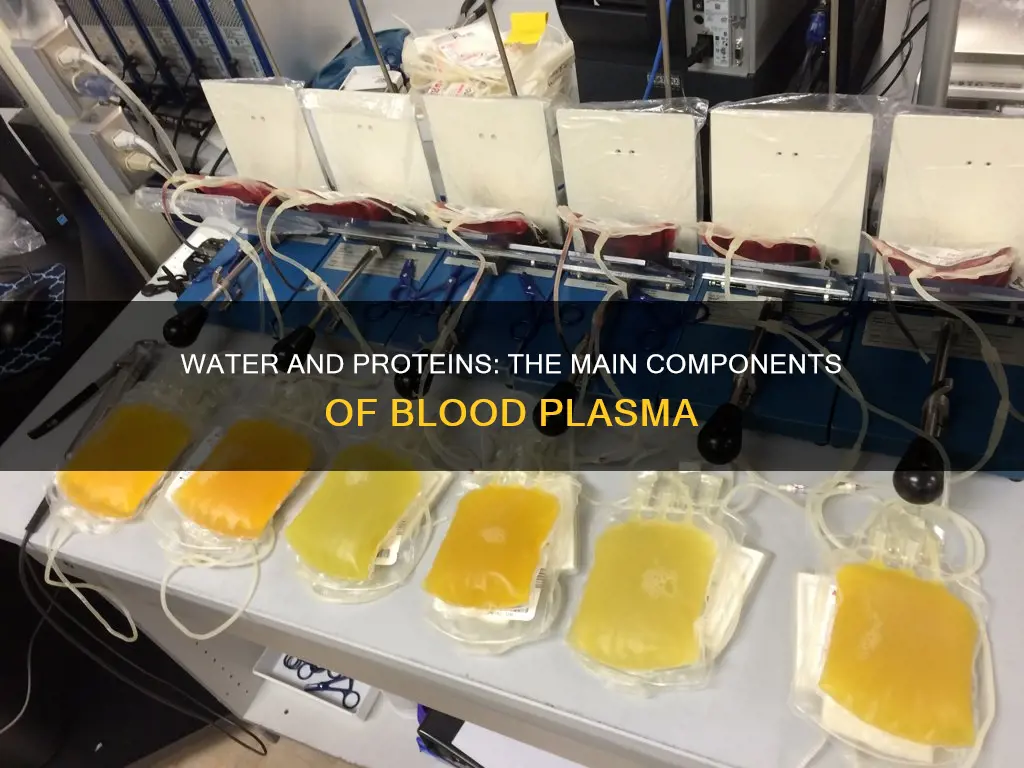 what constitutes over 90 of the blood plasma