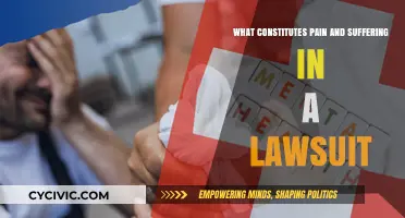 Understanding Pain and Suffering in Lawsuits
