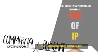 Personal vs Commercial IP Use: Understanding the Difference