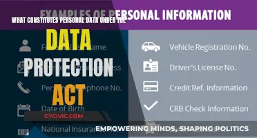 Personal Data: Understanding the Data Protection Act's Scope