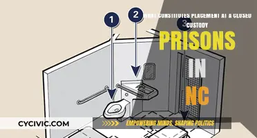 Custody Prisons in NC: Placement Factors and Considerations