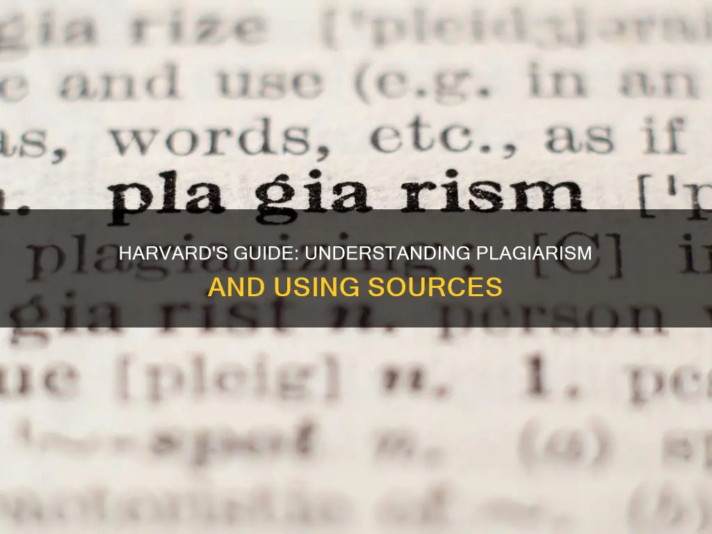 what constitutes plagiarism harvard guide to using sources