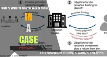 Due Diligence: Plaintiff's Burden in a Case