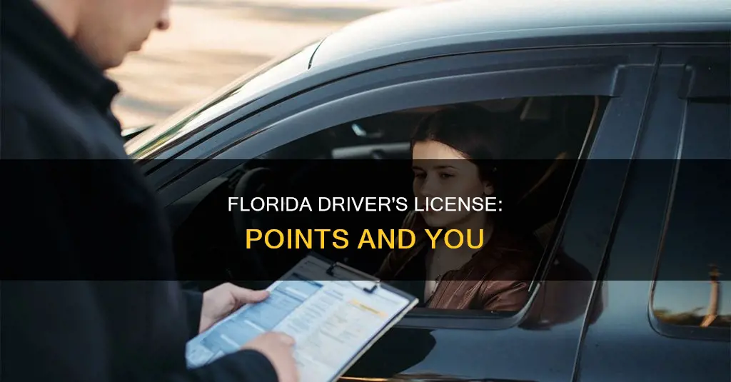 what constitutes points on florida driver