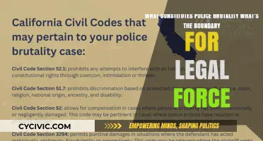 When Does Police Force Become Brutality?