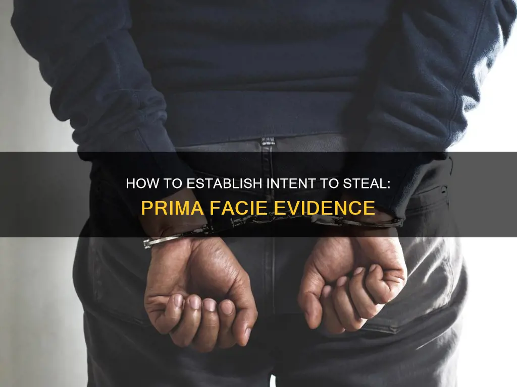 what constitutes prima facie evidence of an intent to steal