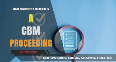 Understanding Prior Art in CBM Proceedings