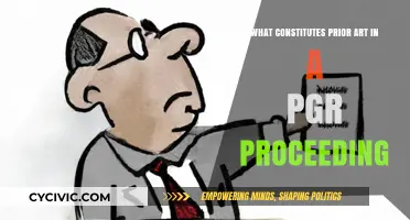 Prior Art in PGR: What Counts?