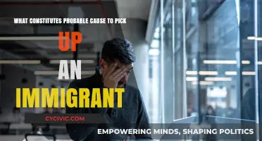 Understanding Probable Cause for Immigrant Detention