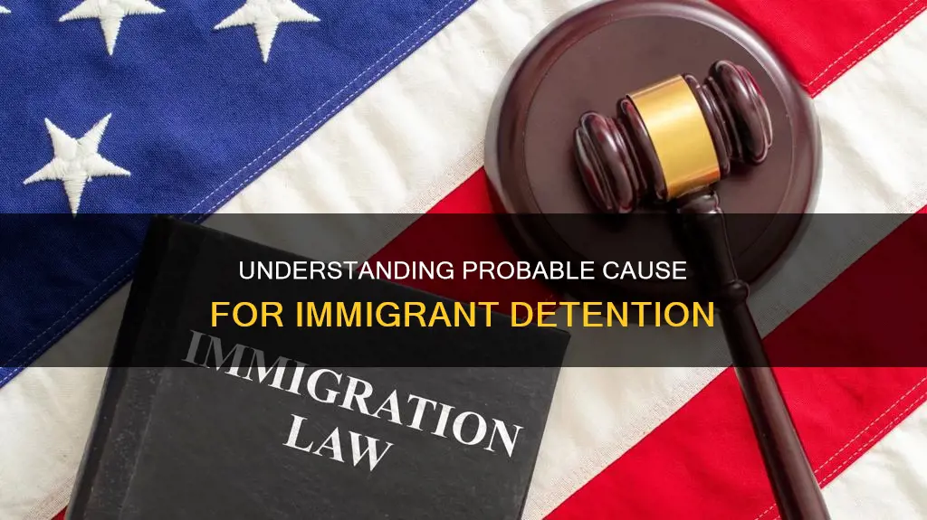 what constitutes probable cause to pick up an immigrant