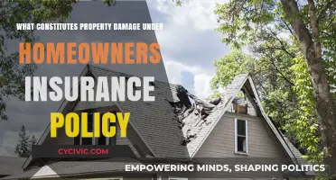 Understanding Property Damage Coverage in Homeowners Insurance Policies