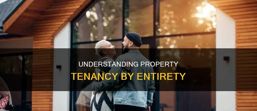 what constitutes property in tenancy of the entirety