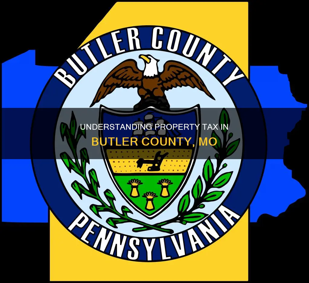 what constitutes property tax in butler county mo