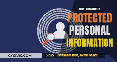Understanding Personal Data Protection: What Counts as Protected Information?