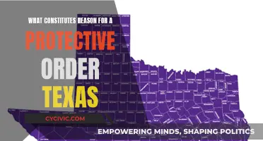 Understanding Protective Order Reasons in Texas Law