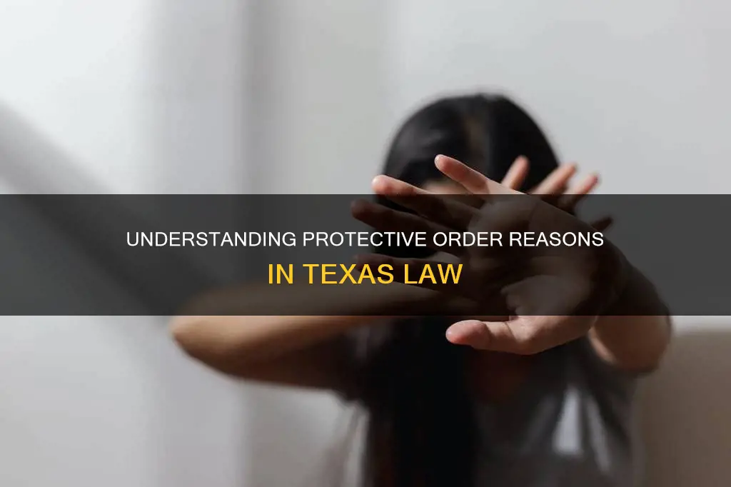 what constitutes reason for a protective order texas