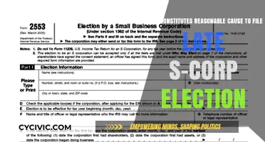 Late S-Corp Election: Understanding Reasonable Cause