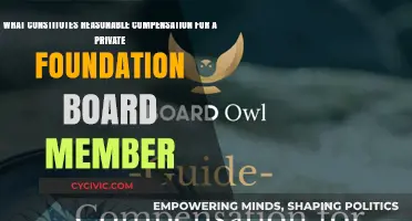 Understanding Fair Pay for Private Foundation Board Members