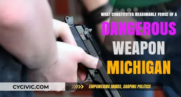 When is Force with a Weapon Reasonable in Michigan?