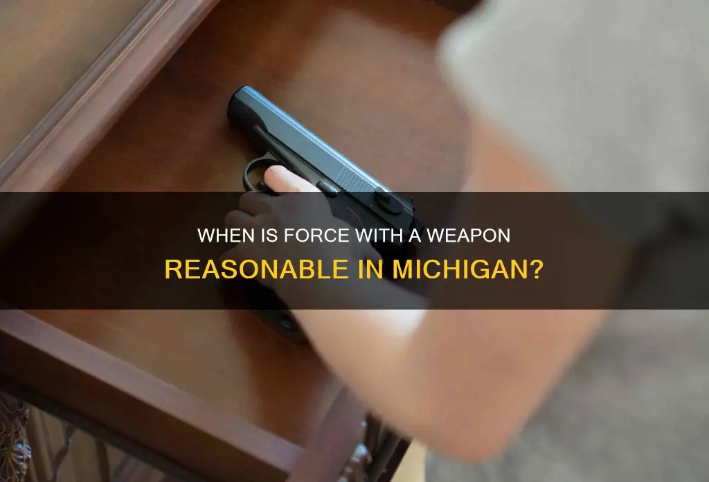what constitutes reasonable force of a dangerous weapon michigan