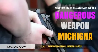 When is Force with a Weapon Reasonable?