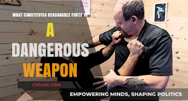 When is Force with a Weapon Justified?
