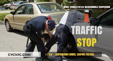 Traffic Stop Laws: Understanding Reasonable Suspicion