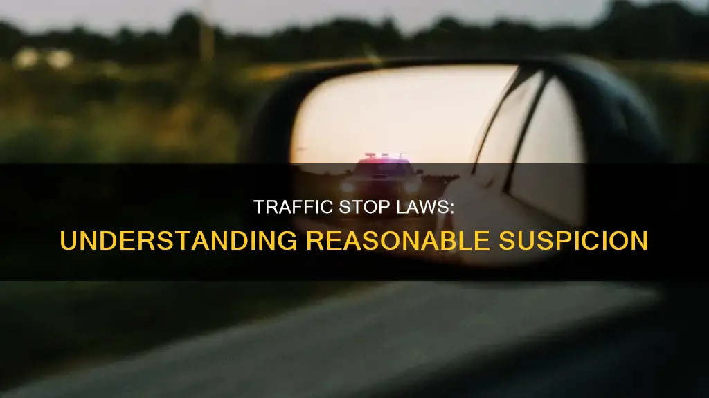 what constitutes reasonable suspicion for a traffic stop