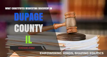 DuPage County IL: Understanding Discovery Requests