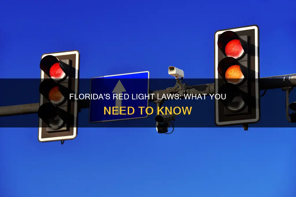 what constitutes running a red light in florida