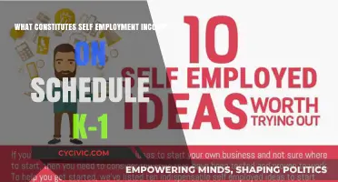 Understanding Self-Employment Income on Schedule K-1