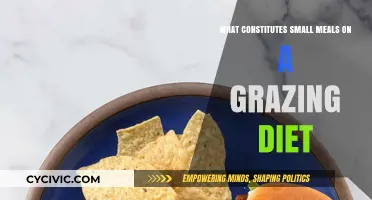 Grazing Diet: Small Meals, Big Impact
