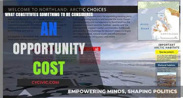 Understanding Opportunity Costs: What's the True Price?