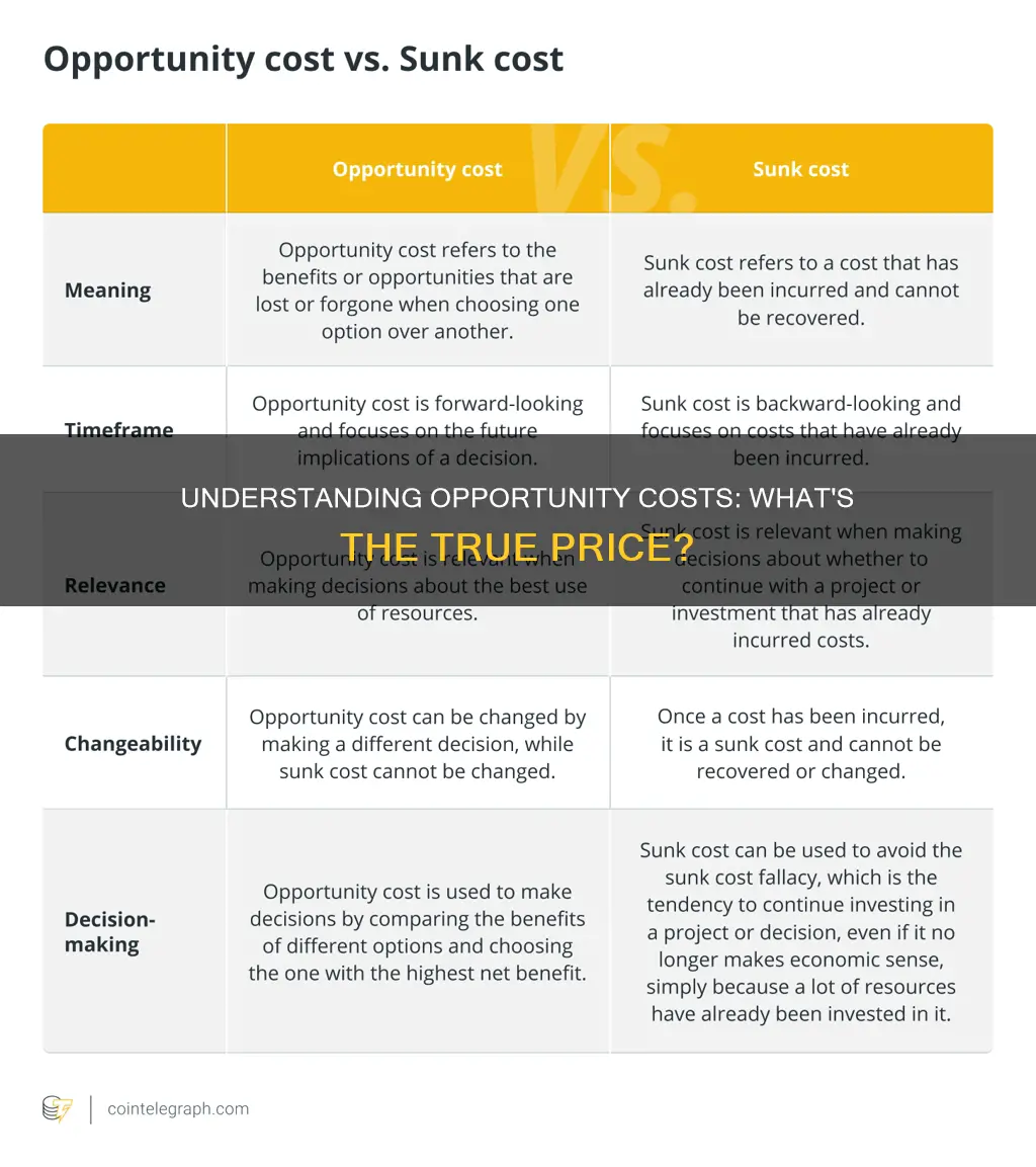 what constitutes something to be considered an opportunity cost