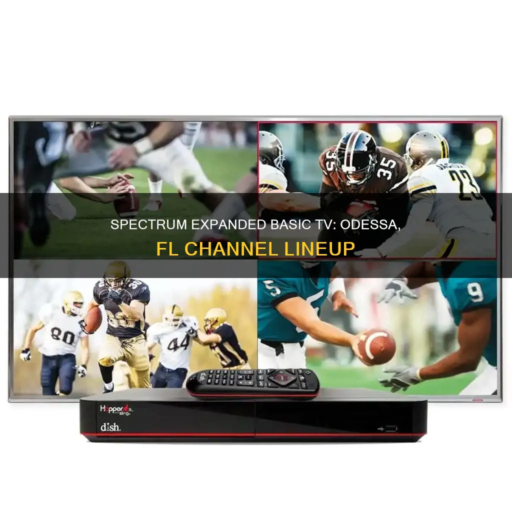 what constitutes spectrum expanded basic tv services in odessa fl