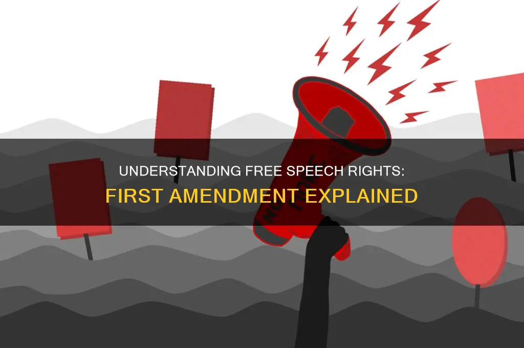 what constitutes speech under the first amendment
