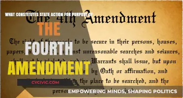 State Action: Fourth Amendment's Scope and Reach