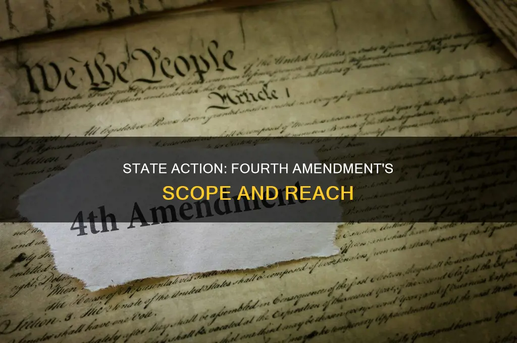 what constitutes state action for purpose of the fourth amendment