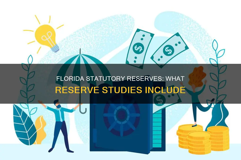 what constitutes statutory reserves for reserve studies in florida